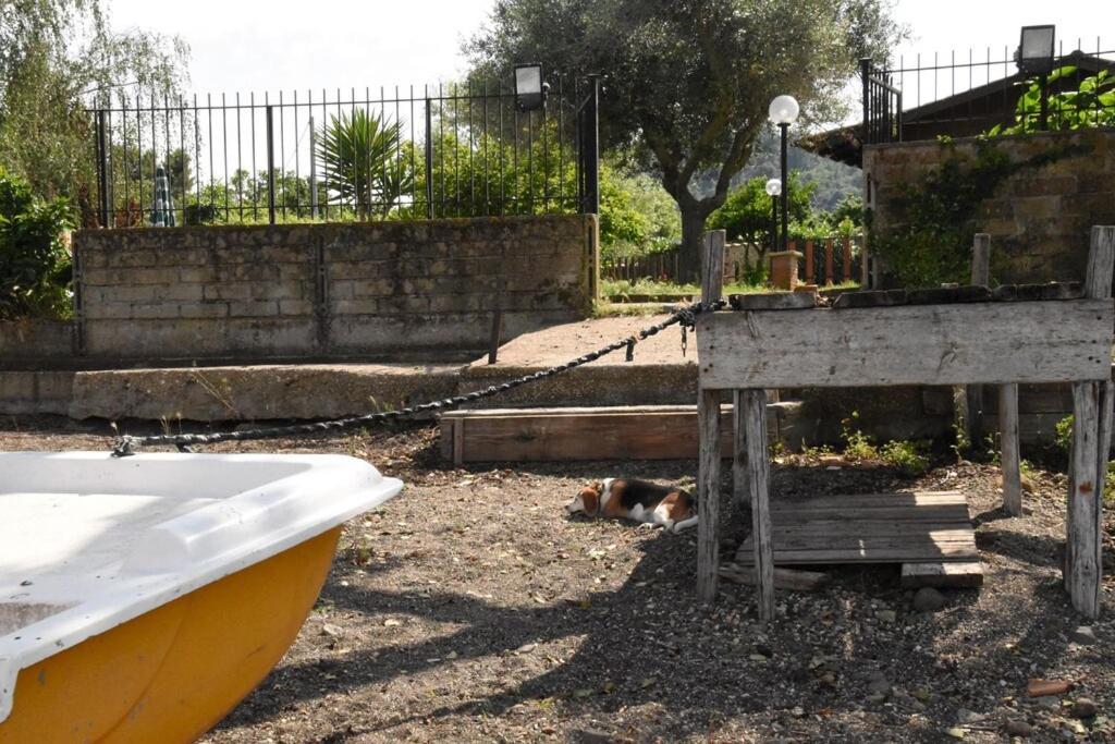 Independent Villa With Private Beach On The Lake Bracciano Kültér fotó