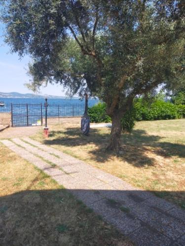 Independent Villa With Private Beach On The Lake Bracciano Kültér fotó