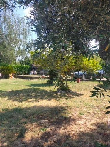 Independent Villa With Private Beach On The Lake Bracciano Kültér fotó